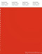 PANTONE SMART 18-1561X Color Swatch Card, Orange.com