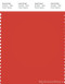 PANTONE SMART 18-1564X Color Swatch Card, Poinciana