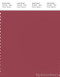 PANTONE SMART 18-1631X Color Swatch Card, Earth Red