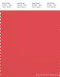 PANTONE SMART 18-1651X Color Swatch Card, Cayenne