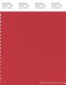 PANTONE SMART 18-1652X Color Swatch Card, Rococco Red