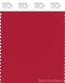 PANTONE SMART 18-1657X Color Swatch Card, Salsa