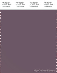 PANTONE SMART 18-1706X Color Swatch Card, Black Plum
