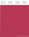 PANTONE SMART 18-1741X Color Swatch Card, Raspberry Wine