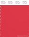 PANTONE SMART 18-1762X Color Swatch Card, Hibiscus