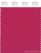 PANTONE SMART 18-1950X Color Swatch Card, Jazzy