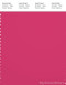 PANTONE SMART 18-2043X Color Swatch Card, Raspberry Sorbet