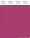 PANTONE SMART 18-2326X Color Swatch Card, Cactus Flower