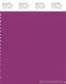 PANTONE SMART 18-2929X Color Swatch Card, Purple Wine