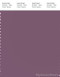 PANTONE SMART 18-3012X Color Swatch Card, Purple Gumdrop