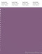 PANTONE SMART 18-3418X Color Swatch Card, Chinese Violet