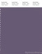 PANTONE SMART 18-3714X Color Swatch Card, Mulled Grape