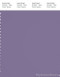 PANTONE SMART 18-3718X Color Swatch Card, Purple Haze