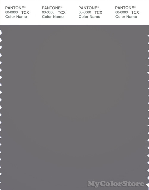 PANTONE SMART 18-4005X Color Swatch Card, Steel Gray