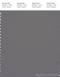 PANTONE SMART 18-4005X Color Swatch Card, Steel Gray