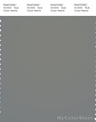 PANTONE SMART 18-4105X Color Swatch Card, Moon Mist