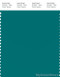 PANTONE SMART 18-4936X Color Swatch Card, Fanfare