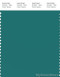 PANTONE SMART 18-5121X Color Swatch Card, Bayou
