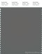 PANTONE SMART 18-5203X Color Swatch Card, Pewter