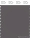 PANTONE SMART 18-5210X Color Swatch Card, Eiffel Tower