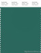 PANTONE SMART 18-5418X Color Swatch Card, Antique Green