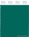 PANTONE SMART 18-5424X Color Swatch Card, Cadmium Green