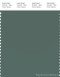 PANTONE SMART 18-5611X Color Swatch Card, Dark Forest