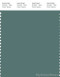 PANTONE SMART 18-5612X Color Swatch Card, Sagebrush Green