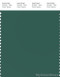 PANTONE SMART 18-5616X Color Swatch Card, Posy Green