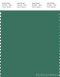 PANTONE SMART 18-5621X Color Swatch Card, Fir