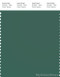 PANTONE SMART 18-5718X Color Swatch Card, Smoke Pine