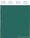 PANTONE SMART 18-5725X Color Swatch Card, Galapagos Green