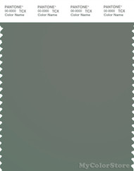 PANTONE SMART 18-5806X Color Swatch Card, Agave Green