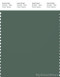PANTONE SMART 18-6011X Color Swatch Card, Duck Green