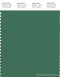 PANTONE SMART 18-6018X Color Swatch Card, Foliage Green