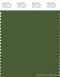 PANTONE SMART 19-0230X Color Swatch Card, Garden Green
