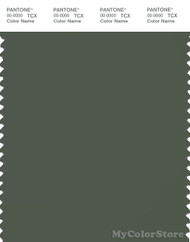 PANTONE SMART 19-0309X Color Swatch Card, Thyme
