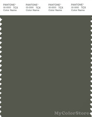 PANTONE SMART 19-0312X Color Swatch Card, Beetle