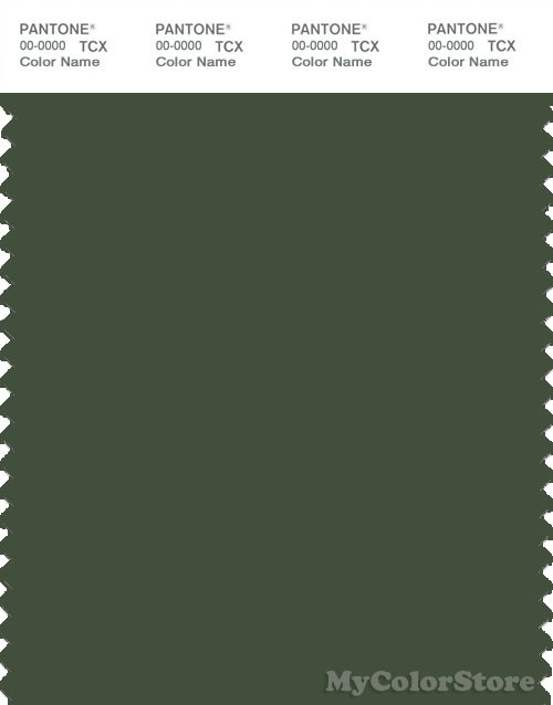 PANTONE SMART 19-0315X Color Swatch Card, Black Forest