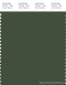 PANTONE SMART 19-0315X Color Swatch Card, Black Forest