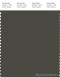 PANTONE SMART 19-0405X Color Swatch Card, Green Black