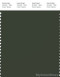 PANTONE SMART 19-0415X Color Swatch Card, Duffel Bag