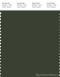 PANTONE SMART 19-0417X Color Swatch Card, Kombu Green