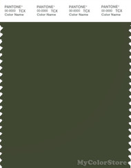 PANTONE SMART 19-0419X Color Swatch Card, Rifle Green