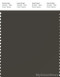 PANTONE SMART 19-0506X Color Swatch Card, Black Ink