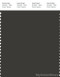 PANTONE SMART 19-0508X Color Swatch Card, Peat