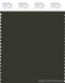 PANTONE SMART 19-0509X Color Swatch Card, Rosin