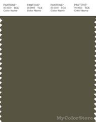 PANTONE SMART 19-0512X Color Swatch Card, Ivy Green