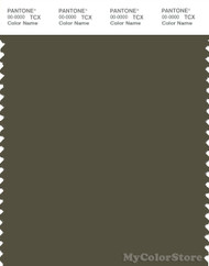 PANTONE SMART 19-0515X Color Swatch Card, Olive Night