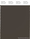 PANTONE SMART 19-0608X Color Swatch Card, Black Olive